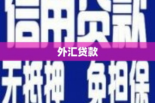 惠山外汇贷款