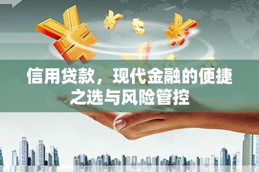 惠山信用贷款，现代金融的便捷之选与风险管控