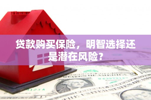 惠山贷款购买保险，明智选择还是潜在风险？