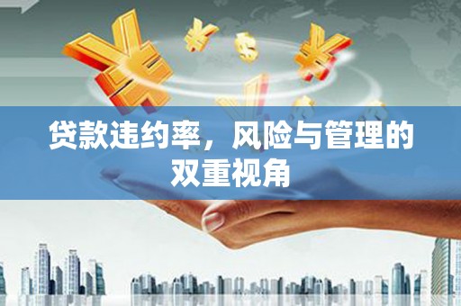 惠山贷款违约率，风险与管理的双重视角