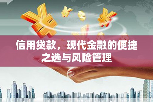 惠山信用贷款，现代金融的便捷之选与风险管理