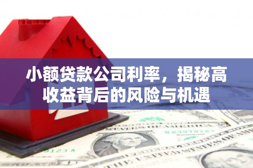 惠山小额贷款公司利率，揭秘高收益背后的风险与机遇