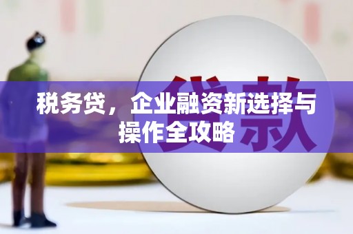 惠山税务贷，企业融资新选择与操作全攻略