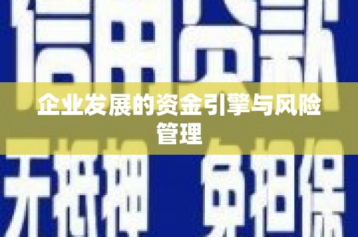 惠山企业发展的资金引擎与风险管理
