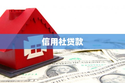 惠山信用社贷款