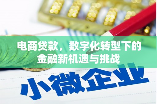惠山电商贷款，数字化转型下的金融新机遇与挑战