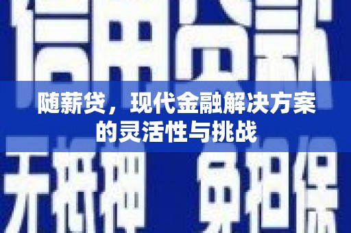 惠山随薪贷，现代金融解决方案的灵活性与挑战