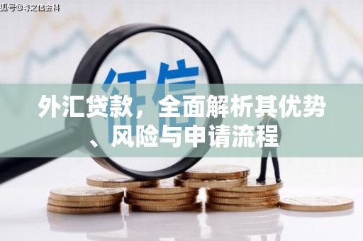 惠山外汇贷款，全面解析其优势、风险与申请流程