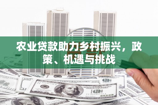惠山农业贷款助力乡村振兴，政策、机遇与挑战