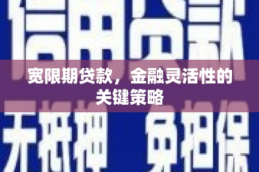 惠山宽限期贷款，金融灵活性的关键策略