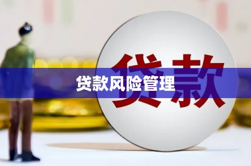 惠山贷款风险管理