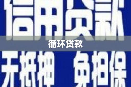 惠山循环贷款