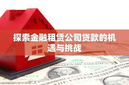 惠山探索金融租赁公司贷款的机遇与挑战