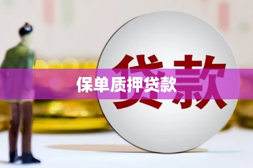 惠山保单质押贷款