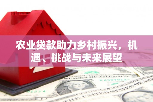 惠山农业贷款助力乡村振兴，机遇、挑战与未来展望
