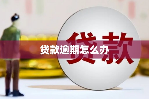 惠山贷款逾期怎么办