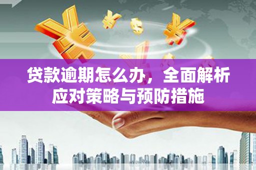 惠山贷款逾期怎么办，全面解析应对策略与预防措施