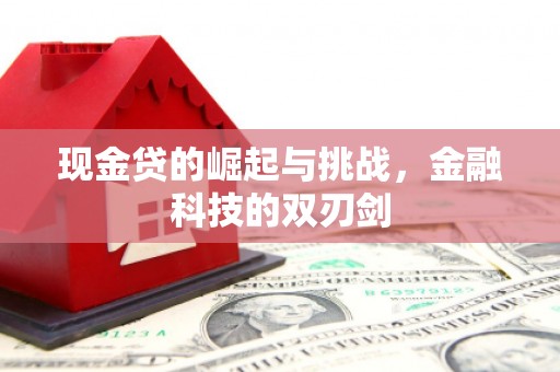 惠山现金贷的崛起与挑战，金融科技的双刃剑