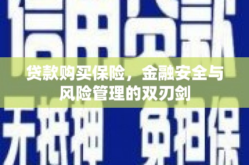 惠山贷款购买保险，金融安全与风险管理的双刃剑