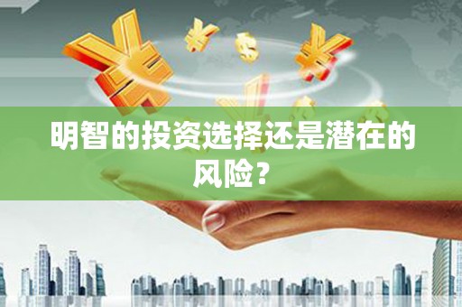 惠山明智的投资选择还是潜在的风险？