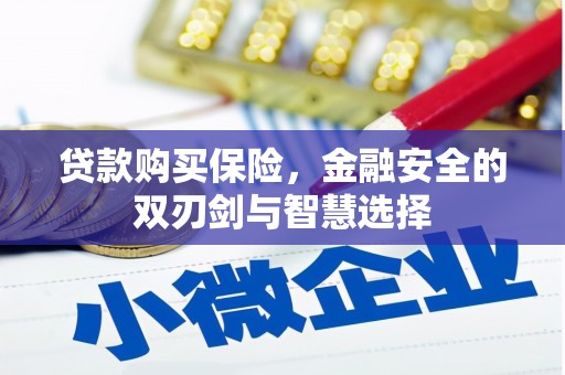 惠山贷款购买保险，金融安全的双刃剑与智慧选择