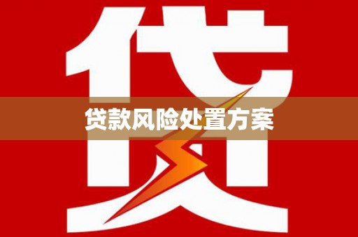 惠山贷款风险处置方案