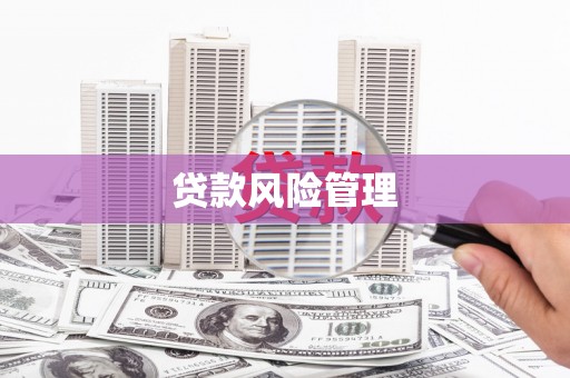 惠山贷款风险管理