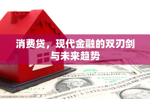 惠山消费贷，现代金融的双刃剑与未来趋势