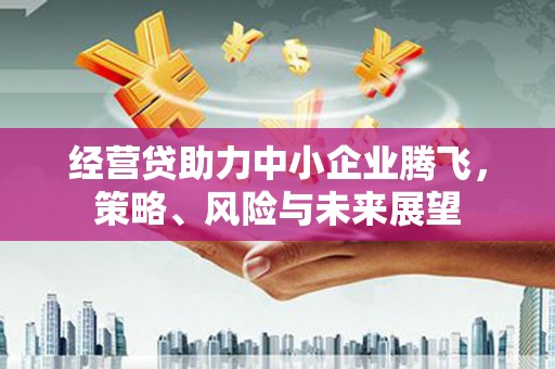 惠山经营贷助力中小企业腾飞，策略、风险与未来展望