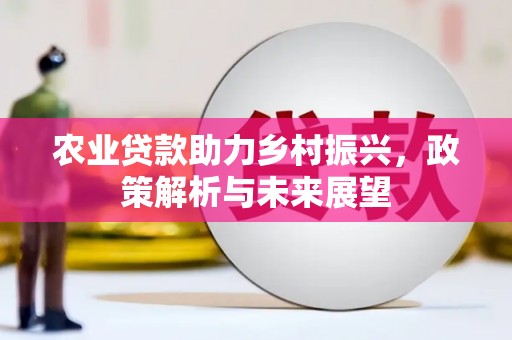惠山农业贷款助力乡村振兴，政策解析与未来展望