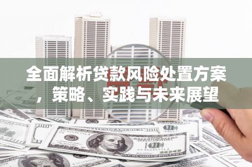 惠山全面解析贷款风险处置方案，策略、实践与未来展望