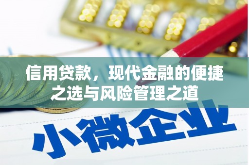惠山信用贷款，现代金融的便捷之选与风险管理之道
