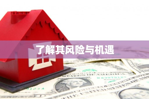 惠山了解其风险与机遇