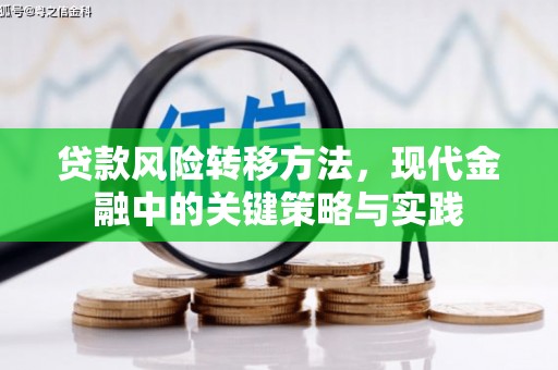 惠山贷款风险转移方法，现代金融中的关键策略与实践