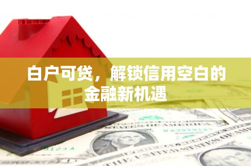惠山白户可贷，解锁信用空白的金融新机遇