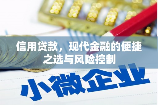 惠山信用贷款，现代金融的便捷之选与风险控制