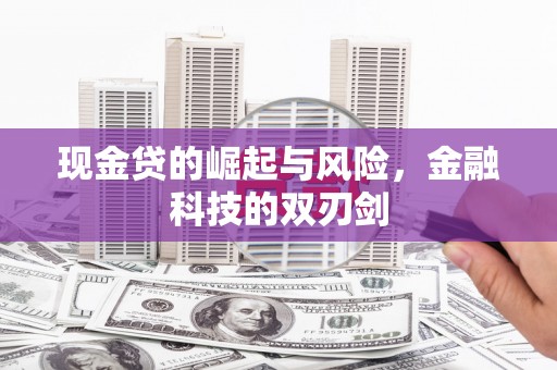 惠山现金贷的崛起与风险，金融科技的双刃剑