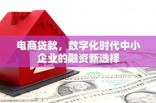 惠山电商贷款，数字化时代中小企业的融资新选择