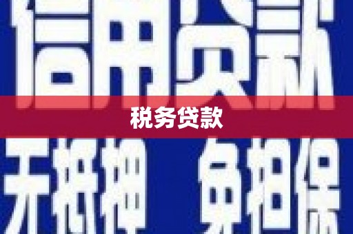 惠山税务贷款