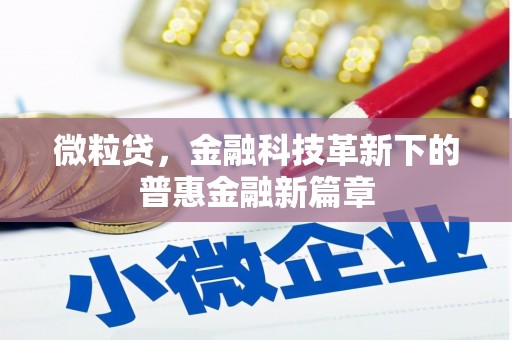惠山微粒贷，金融科技革新下的普惠金融新篇章