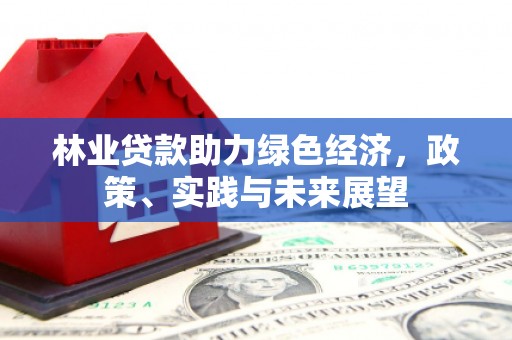 惠山林业贷款助力绿色经济，政策、实践与未来展望