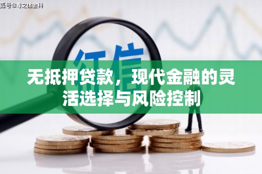 惠山无抵押贷款，现代金融的灵活选择与风险控制