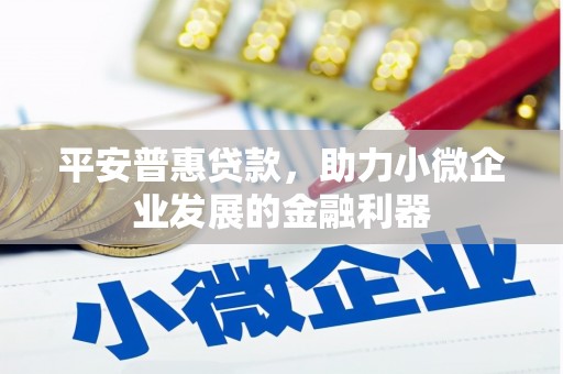 惠山平安普惠贷款，助力小微企业发展的金融利器