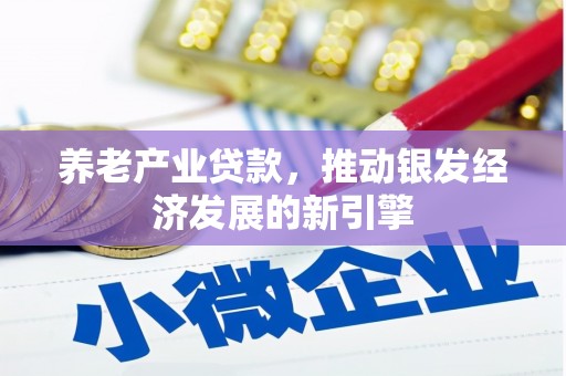 惠山养老产业贷款，推动银发经济发展的新引擎