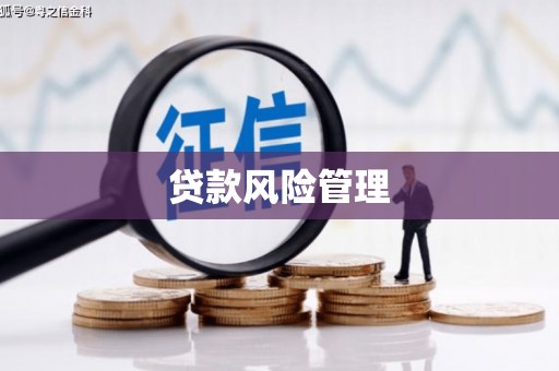 惠山贷款风险管理
