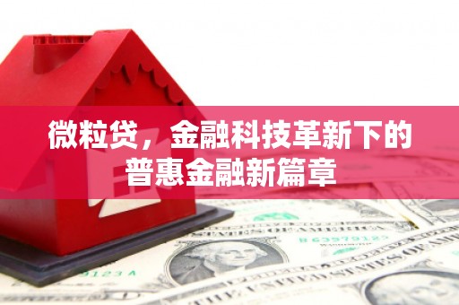 惠山微粒贷，金融科技革新下的普惠金融新篇章
