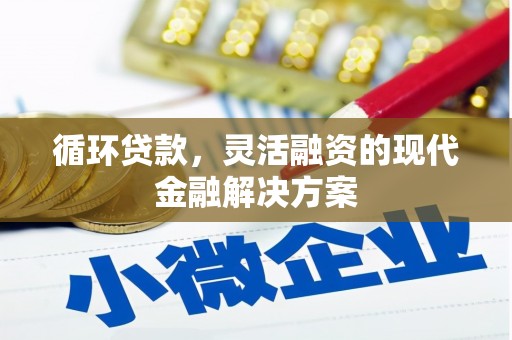 惠山循环贷款，灵活融资的现代金融解决方案