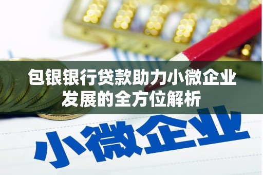 惠山包银银行贷款助力小微企业发展的全方位解析