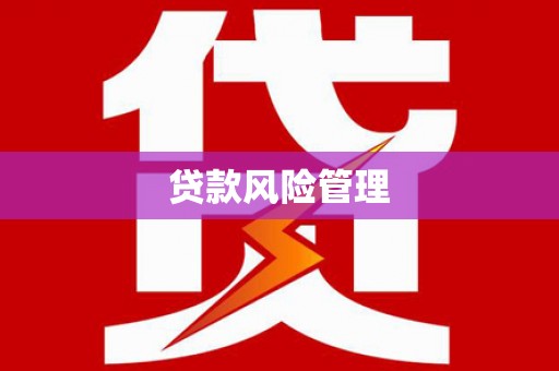惠山贷款风险管理