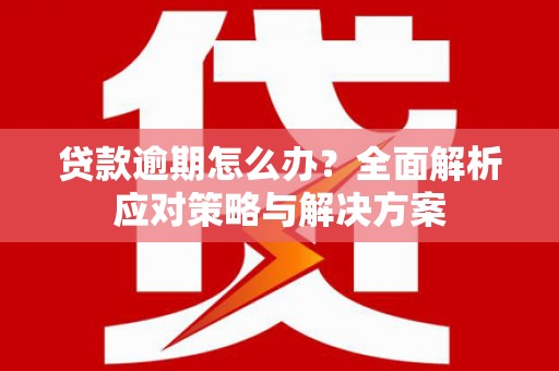 惠山贷款逾期怎么办？全面解析应对策略与解决方案
